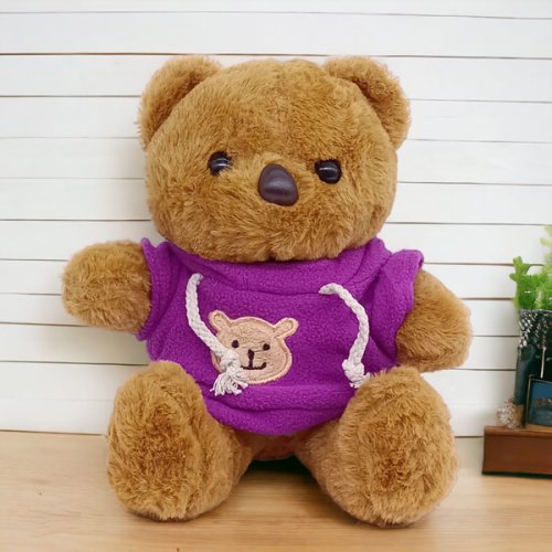 Brown Teddy Bear with Purple Hoodie - 9 inches